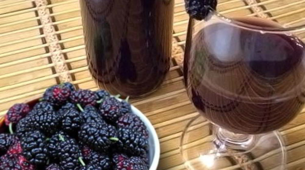 Как приготовить вино из шелковицы