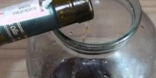 Рецепт вина из шелковицы