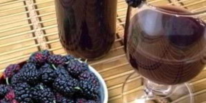 Рецепт вина из шелковицы