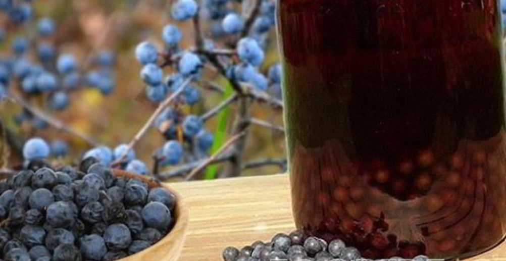 Рецепт вино из яблок