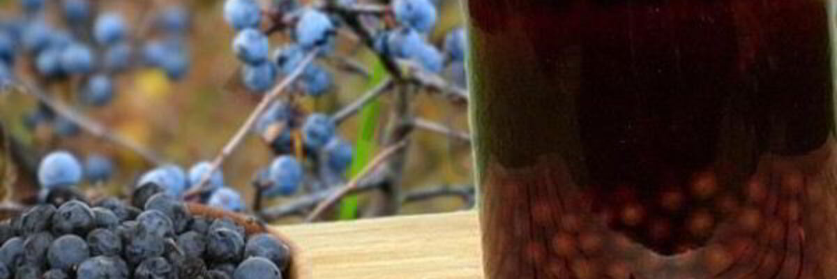 Рецепт Вина из терна