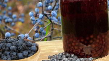 Рецепт Вина из терна