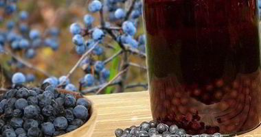 Рецепт Вина из терна