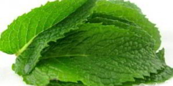 Рецепт витаминного напитка с мятой и клубникой