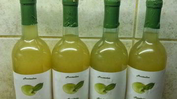 Рецепт Яблочного вина