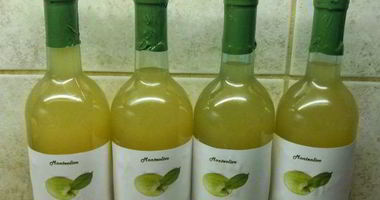 Рецепт Яблочного вина