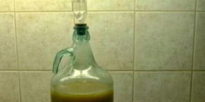 Рецепт яблочного вина