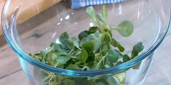 Рецепт салата из молодого картофеля с редисом и заправкой из феты