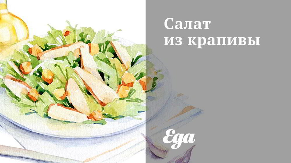 Как приготовить салат из крапивы