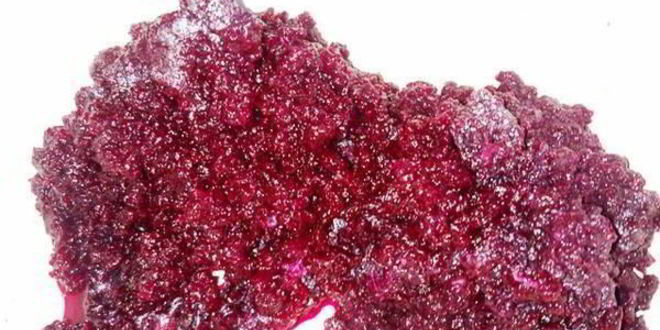 Рецепт селедки под шубой в желе