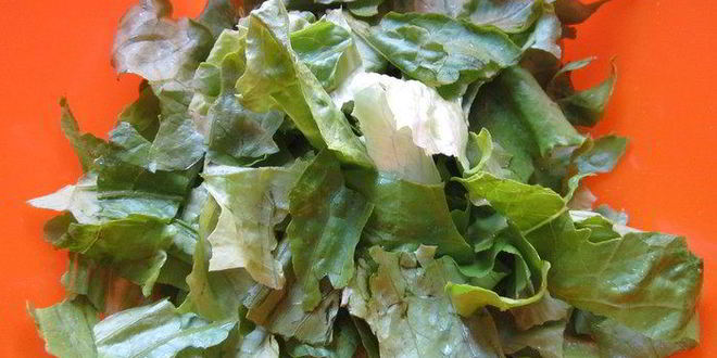 Рецепт салата цезарь с курицей и йогуртом