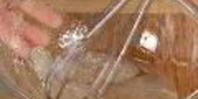 Рецепт салата винегрет с квашеной капустой