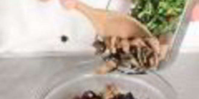 Рецепт винегрета с солеными грибами