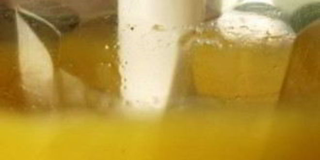 Рецепт майонеза на перепелиных яйцах