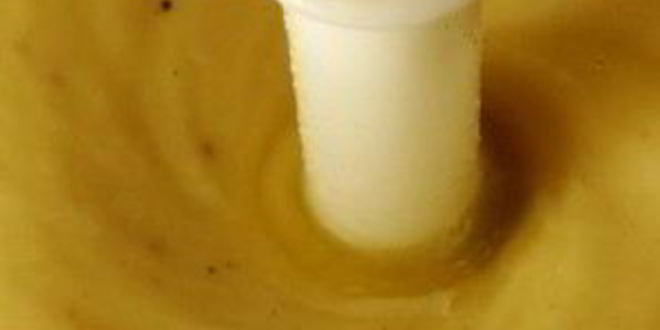 Рецепт майонеза на перепелиных яйцах