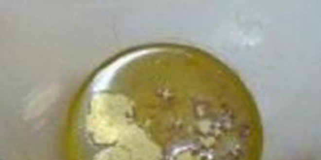 Рецепт постного домашнего майонеза