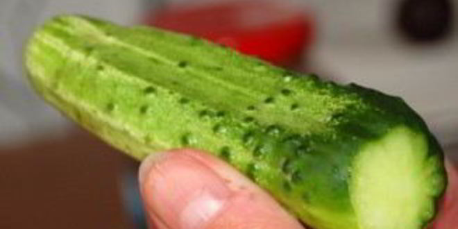 Рецепт маринада для огурцов