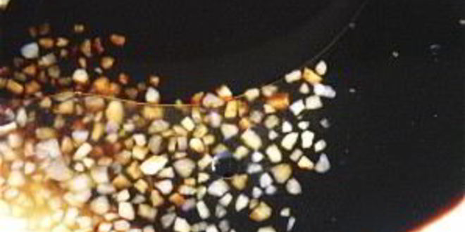 Рецепт маринада для свиных ребрышек в духовке