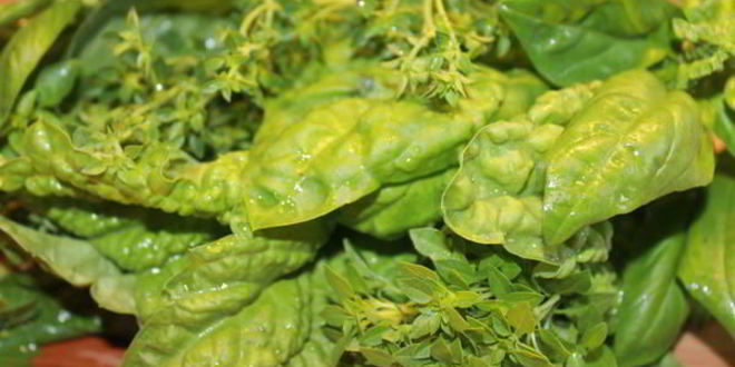 Рецепт чесночно-базиликового песто