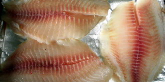 Рецепт рыбы запеченной с соусом песто