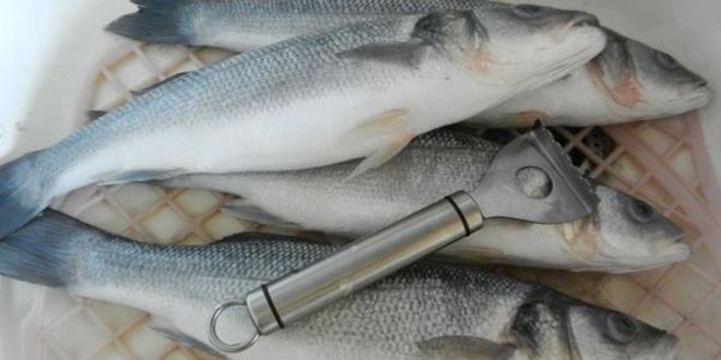 Рецепт сибаса, запеченого с соусом песто