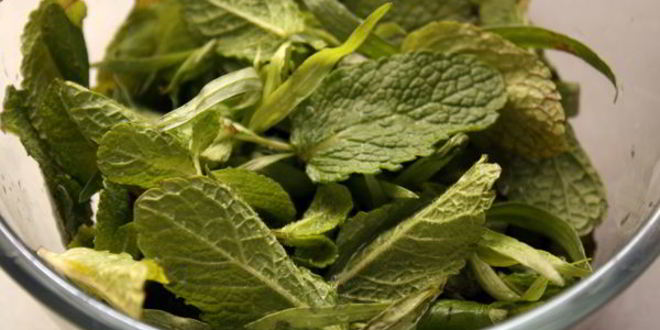 Рецепт сладкого мятного песто