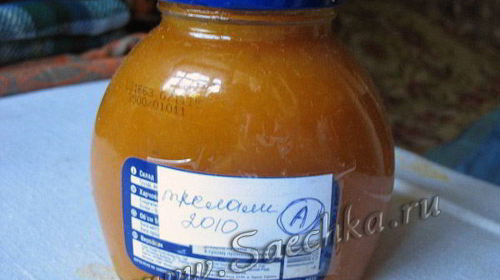 Как приготовить ленивый ткемали