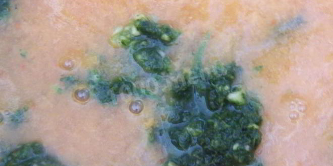 Рецепт соуса ткемали из слив