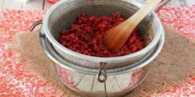 Рецепт соуса ткемали из смородины
