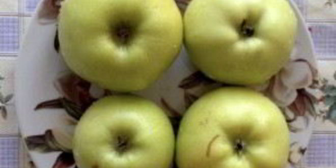 Рецепт утки в соусе ткемали с медом