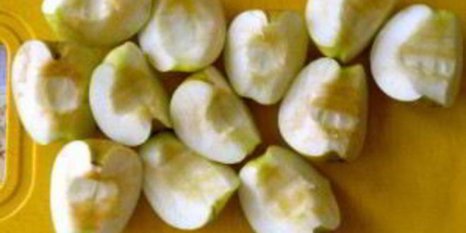 Рецепт утки в соусе ткемали с медом