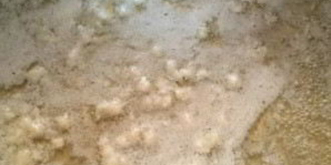 Рецепт сырного соуса из плавленого сыра