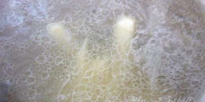 Рецепт борща с галушкой