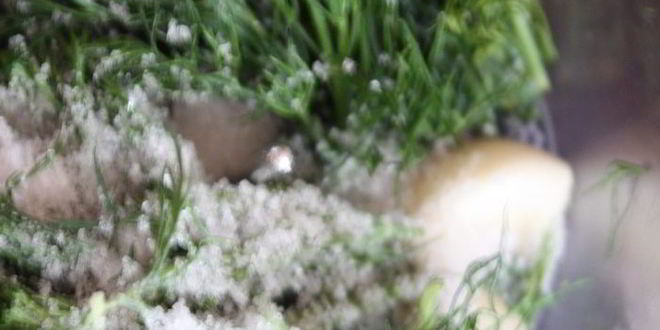 Рецепт постного борща с фасолью