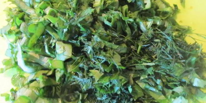 Рецепт зеленого борща с крапивой, щавелем и яйцом