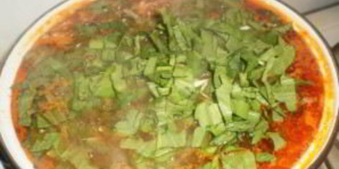 Рецепт зеленого борща с щавелем и томатом