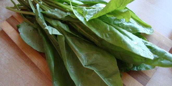 Рецепт зеленого борща со щавелем