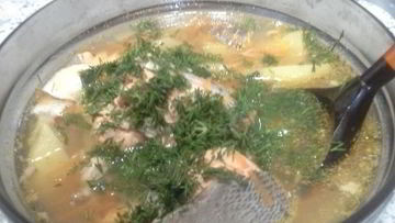 Рецепты домашнего супа