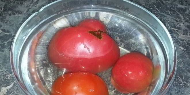 Рецепт гаспачо с фундуком