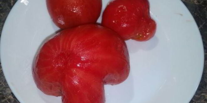 Рецепт гаспачо с фундуком