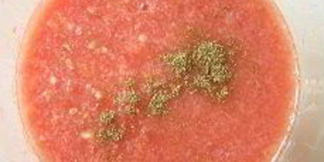 Рецепт холодного летнего супа гаспачо