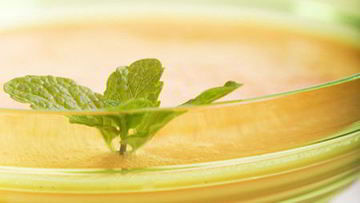 Рецепт Холодного дынного супа