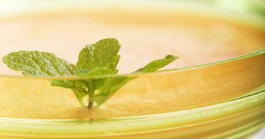 Рецепт Холодного дынного супа