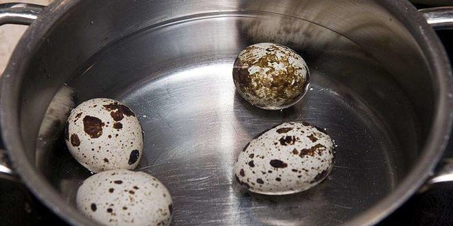 Рецепт холодного супа ботвинья