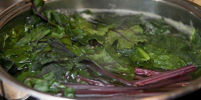 Рецепт холодного супа ботвинья