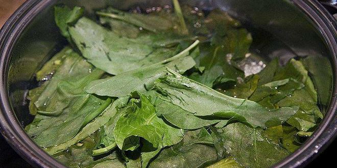 Рецепт холодного супа ботвинья