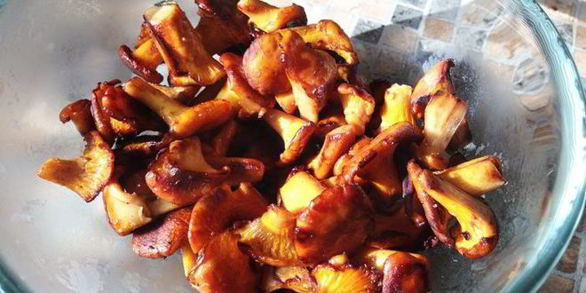 Рецепт крема-супа из лисичек