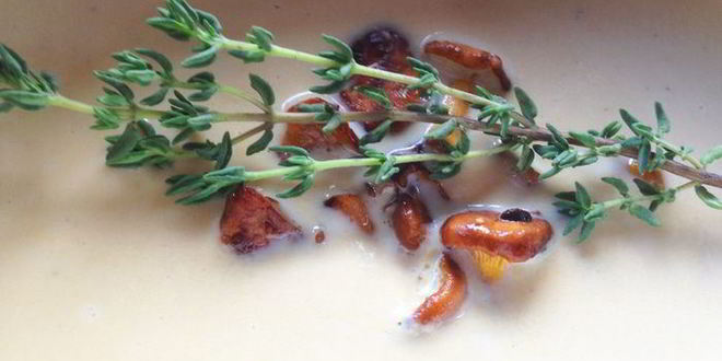 Рецепт крема-супа из лисичек