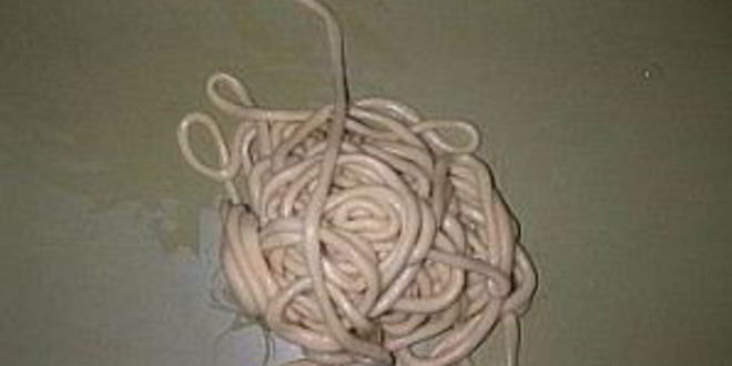 Рецепт лагмана по-дунгански