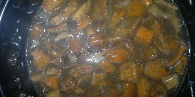 Рецепт молочного супа с рыжиками